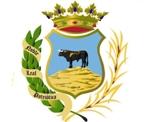 Aprobación definitiva del Reglamento de Registro Electrónico del Ayuntamiento de Montoro